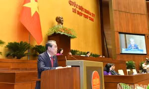 Tiếp tục tăng cường hơn nữa chất lượng hoạt động giám sát việc ban hành văn bản quy phạm pháp luật