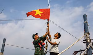 Những ngôi sao trên biển