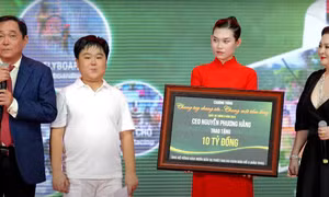 Bà Nguyễn Phương Hằng tuyên bố vĩnh viễn không livestream
