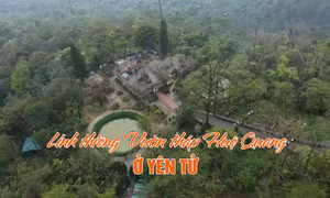 Linh thiêng Vườn tháp Huệ Quang ở Yên Tử