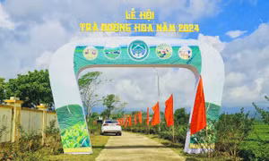 Bản tin Vùng Đông Bắc ngày 26/10/2024