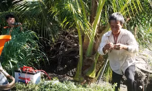 Dùng điện bẫy chuột chết người rồi tạo hiện trường giả