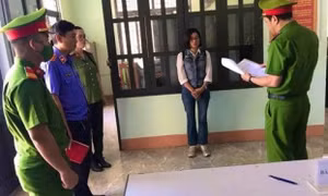Bắt giam người phụ nữ phá rừng để trồng keo, tràm