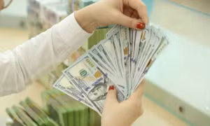 Các dự án đầu tư ra nước ngoài lỗ, lãi ra sao?