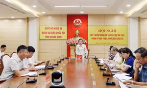 Hội nghị lấy ý kiến tham gia vào các dự án Luật trình Kỳ họp thứ 8, Quốc hội khóa XV