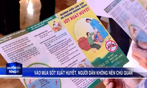 Vào mùa sốt xuất huyết, người dân không nên chủ quan