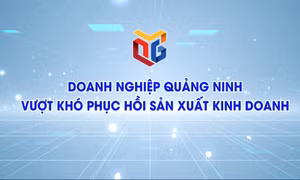 Doanh nghiệp Quảng Ninh vượt khó phục hồi sản xuất kinh doanh