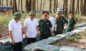 Sẵn sàng cho diễn tập chỉ huy - cơ quan, 1 bên 2 cấp