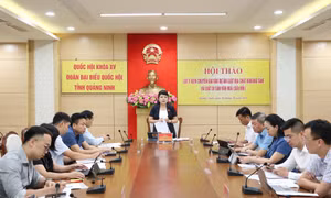 Lấy ý kiến tham gia dự án Luật địa chất khoáng sản