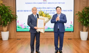 Đồng chí Vũ Anh Tuấn được bổ nhiệm chức vụ Tổng Giám đốc Tập đoàn TKV