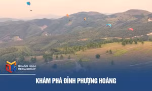 Khám phá Đỉnh Phượng Hoàng