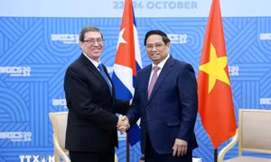 Việt Nam-Cuba nhất trí thúc đẩy hợp tác trên tất cả các lĩnh vực