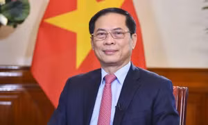 "Quan hệ Việt Nam-Australia đang phát triển rất mạnh mẽ và tích cực"