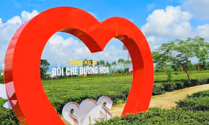 Bản tin Vùng Đông Bắc ngày 24/10/2024