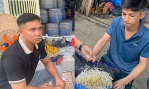 Bị khởi tố vì dùng chất cấm làm giá đỗ