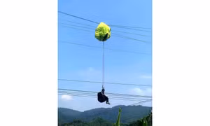 Người đàn ông nhảy dù vướng vào dây điện