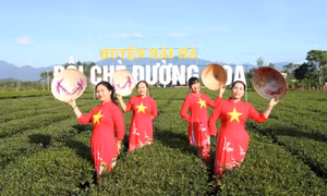 Rộn ràng lễ hội Trà Đường Hoa năm 2024