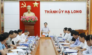 Đoàn Kiểm tra của Bộ Chính trị làm việc với Ban Thường vụ Thành ủy Hạ Long