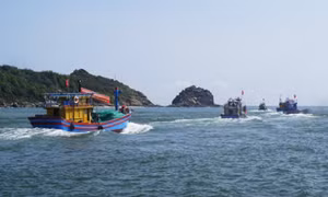 Tàu cá ngư dân Bình Định bị tàu khác đâm chìm trên biển