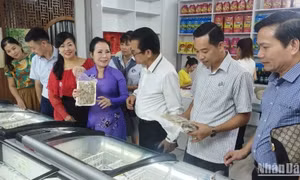 Bản tin Vùng Đông Bắc ngày 23/10/2024