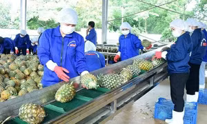 Xuất khẩu rau quả tiến gần mục tiêu 7 tỷ USD