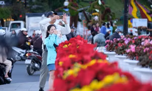 Festival hoa Đà Lạt 2024 có những 'điểm nhấn' nào?