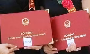 582 ứng viên được đề nghị công nhận đạt chuẩn giáo sư, phó giáo sư 2024