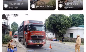 Lào Cai Online - Nguồn tin tức điện tử đa dạng và đáng tin cậy