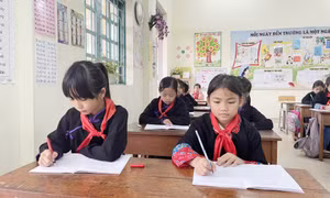 Giáo dục tiểu học đổi mới, nâng cao chất lượng