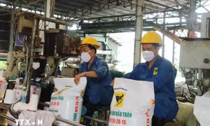 Giá phân bón trong nước bám sát xu hướng biến động trên thế giới