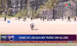 Chung tay làm sạch môi trường vịnh Hạ Long