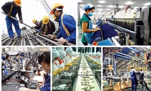 Kiến tạo môi trường kinh doanh thuận lợi, bình đẳng cho doanh nghiệp, doanh nhân