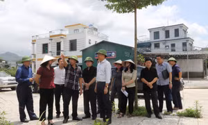 Khai thác hiệu quả nguồn lực đất đai