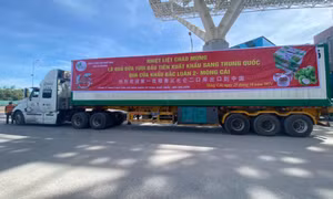 Bản tin Quảng Ninh ngày 25/10/2024