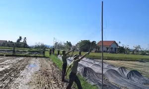 Tăng cường quản lý, bảo vệ động vật hoang dã