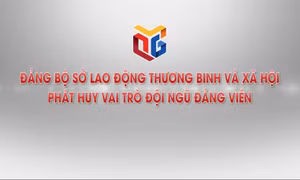 Đảng bộ Sở Lao động - Thương binh và Xã hội phát huy vai trò đội ngũ đảng viên