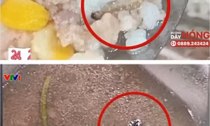 Phó thủ tướng yêu cầu Bộ Giáo dục kiểm tra, xử lý nghiêm vụ sinh viên ăn cơm canh thừa