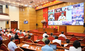 Ban Tổ chức Trung ương quán triệt, triển khai các văn bản mới của Trung ương về công tác tổ chức xây dựng Đảng