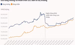 Vàng nhẫn trơn lần đầu vượt 85 triệu đồng