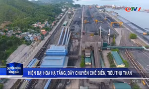 Hiện đại hóa hạ tầng, dây chuyền chế biến, tiêu thụ than