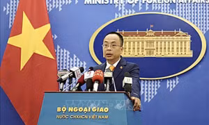 Hợp tác chặt chẽ để phát triển bền vững quan hệ Việt Nam - Hoa Kỳ