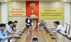 Đoàn ĐBQH tỉnh lấy ý kiến tham gia vào các dự án luật trình tại kỳ họp thứ 8, Quốc hội khóa XV