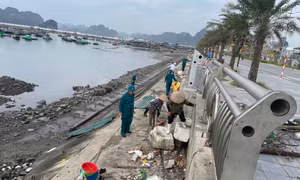 Nỗ lực làm sạch biển