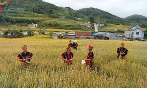 Quảng Ninh có thêm 4 di sản văn hóa phi vật thể quốc gia
