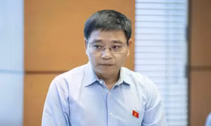 Đại biểu Quốc hội đề xuất nhiều giải pháp thúc đẩy tăng trưởng bền vững