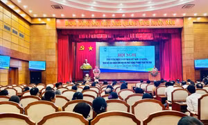 Hội nghị tháo gỡ khó khăn cho hợp tác xã