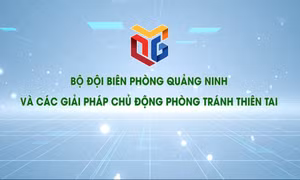 Bộ đội biên phòng Quảng Ninh với các giải pháp chủ động phòng tránh thiên tai