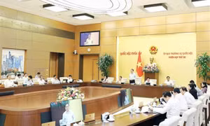 Tăng cường phân cấp phân quyền khi sửa luật