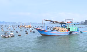 Ngành thủy sản từng bước khôi phục sản xuất