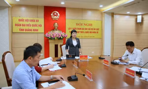 Đoàn ĐBQH tỉnh lấy ý kiến tham gia vào dự thảo Luật Việc làm và Luật Bảo hiểm y tế (sửa đổi)